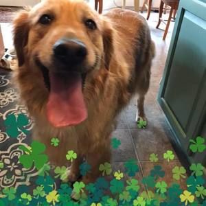 Meet your Posher, Lesli